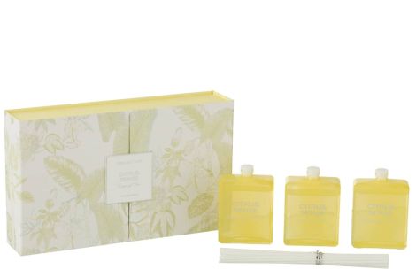 J-Line Box of 3 Fragrance Oil Yellow Citrus Sense